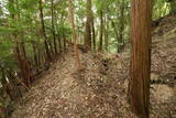 大和 広瀬山城の写真