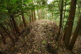大和 広瀬山城の写真