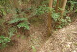 大和 広瀬山城の写真