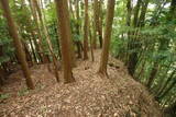 大和 広瀬山城の写真