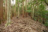 大和 広瀬山城の写真