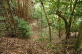大和 広瀬山城の写真