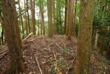 大和 広瀬山城の写真