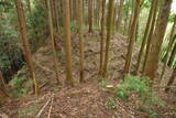 大和 広瀬山城の写真