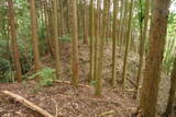 大和 広瀬山城の写真
