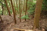 大和 広瀬山城の写真