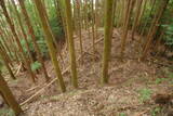 大和 広瀬山城の写真