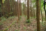 大和 広瀬山城の写真