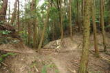 大和 広瀬山城の写真