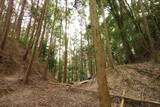 大和 広瀬山城の写真