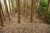 大和 広瀬山城の写真