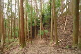 大和 広瀬山城の写真