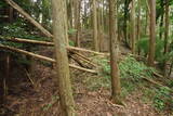 大和 広瀬山城の写真