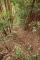 大和 広瀬山城の写真