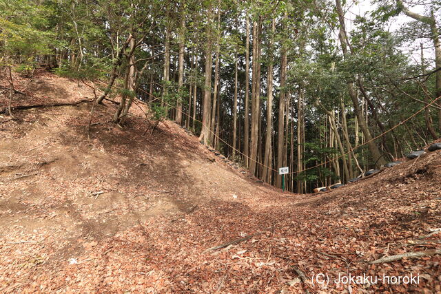 大和 芳野城の写真