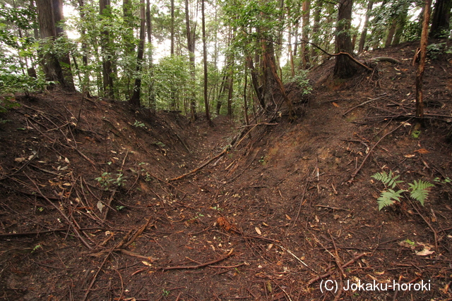 大和 上狭川城の写真