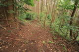 大和 上狭川城の写真