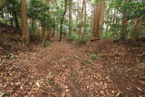 大和 上狭川城の写真
