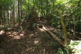大和 上狭川城の写真