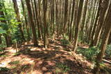 大和 上狭川城の写真