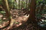 大和 上狭川城の写真