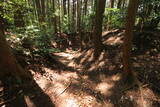 大和 上狭川城の写真