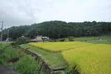 大和 上狭川城の写真