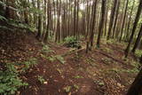 大和 上狭川城の写真