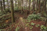 大和 上狭川城の写真