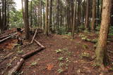 大和 上狭川城の写真