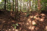 大和 上狭川城の写真