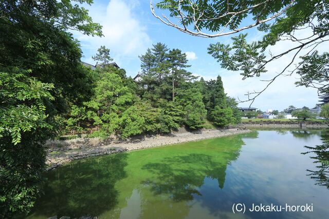 大和 鬼薗山城の写真