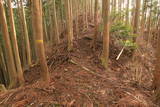 大和 秋葉城の写真