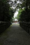 大和 森屋城の写真