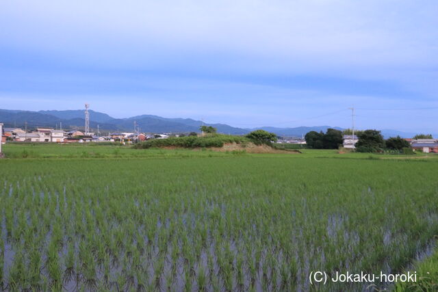 大和 永井城の写真