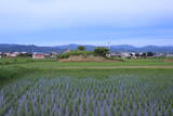 大和 永井城の写真