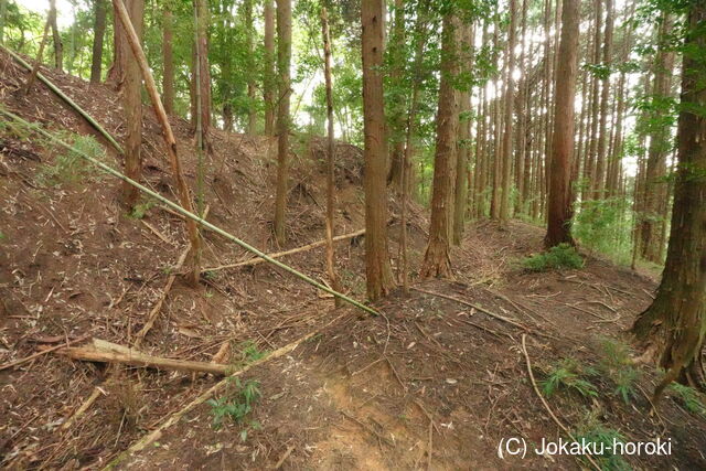 大和 中之庄城の写真