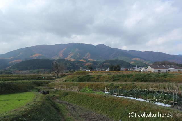 大和 楢原城(奥城)の写真