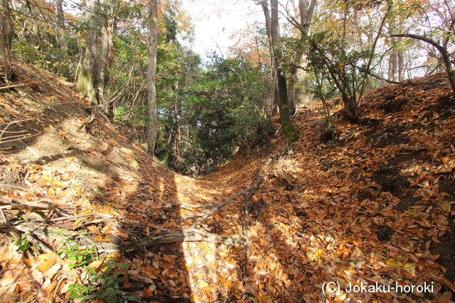 大和 楢原城(中城・前城)の写真