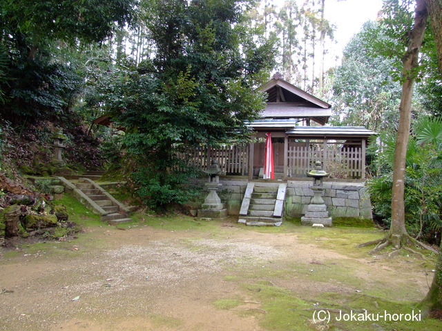 大和 野口吹山城の写真