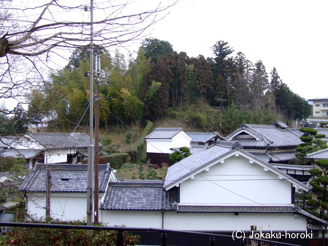 大和 野口植山城の写真