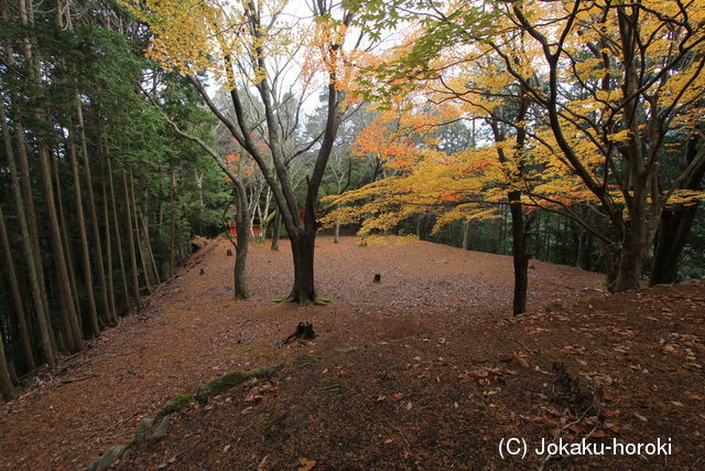 大和 小川城の写真