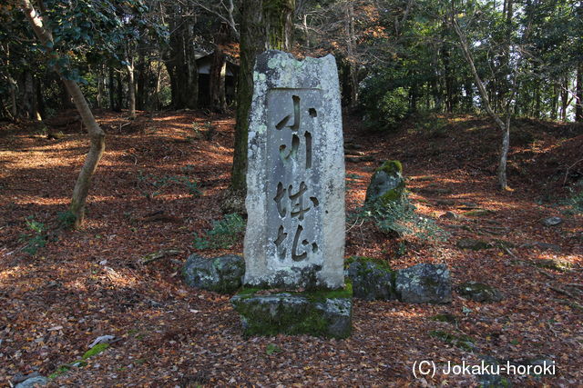 大和 小川古城の写真