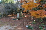 大和 小川古城の写真