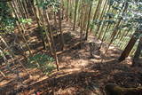 大和 小川古城の写真