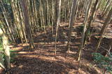 大和 小川古城の写真