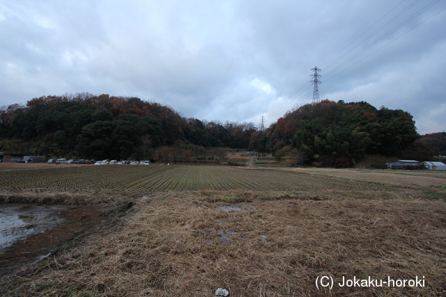 大和 越智城の写真