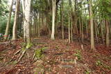 大和 城山城(龍口)の写真