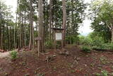 大和 城山城(龍口)の写真