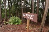 大和 城山城(龍口)の写真